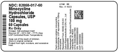 82868-017-60 (82868 017 60   Rev A 10 23)